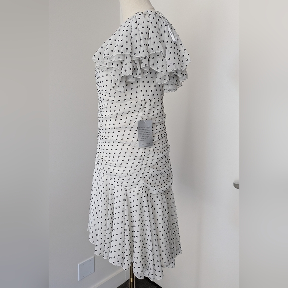 Bardot Jesse Ruched Polka Dot Dress - Picture 6 of 12